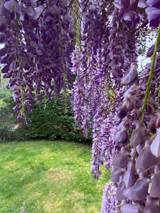 B&B Fior Di Toscana Serravalle Pistoiese Екстериор снимка