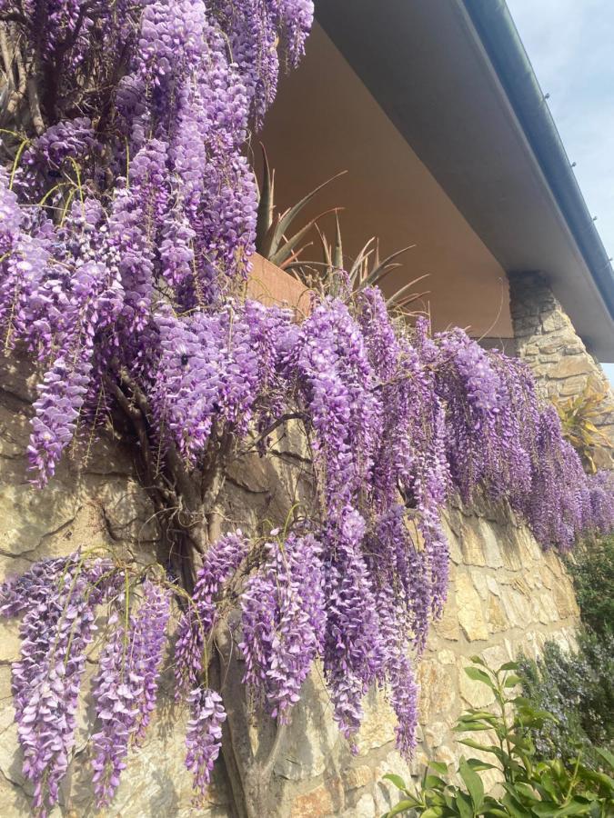 B&B Fior Di Toscana Serravalle Pistoiese Екстериор снимка