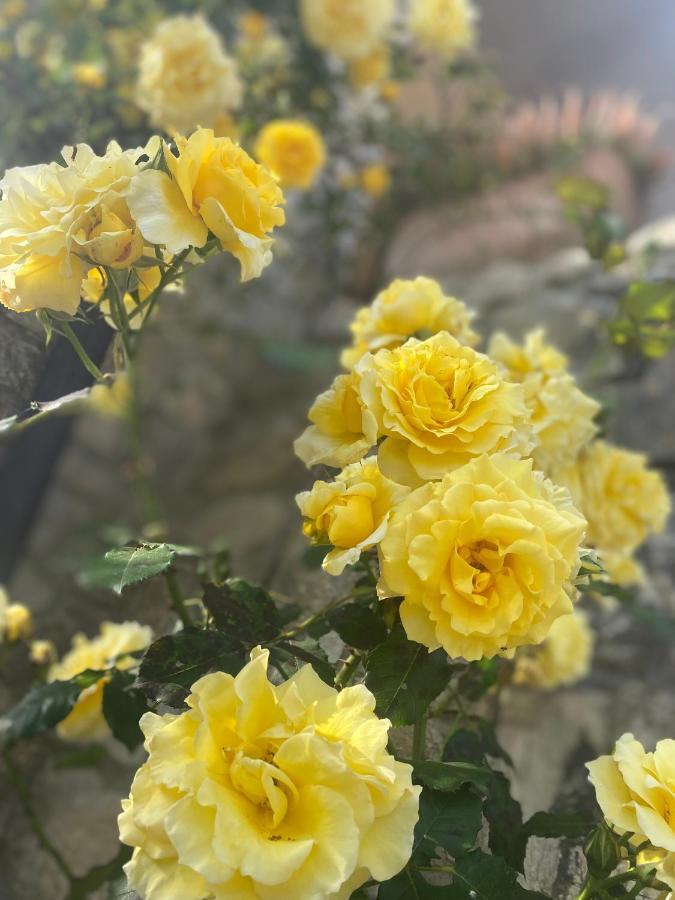 B&B Fior Di Toscana Serravalle Pistoiese Екстериор снимка